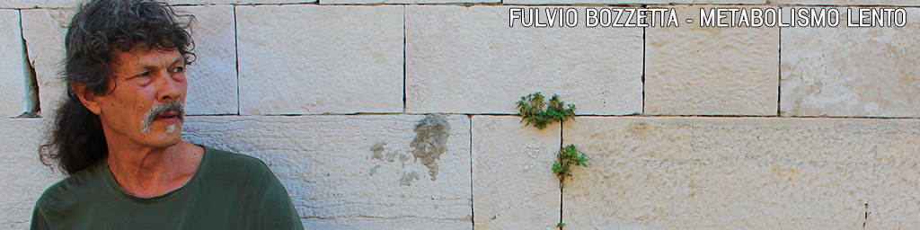 slide_metabolismo-lento